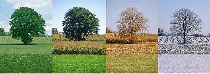 《Seablip》Steam5月17日抢测 像素风海盗动作冒险