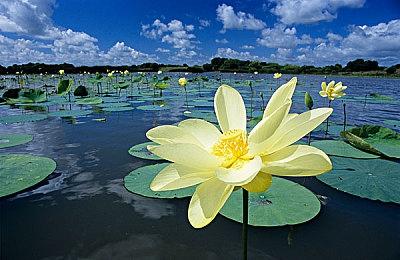 《龙腾世纪：影障守护者》新细节 浪漫和人际关系介绍